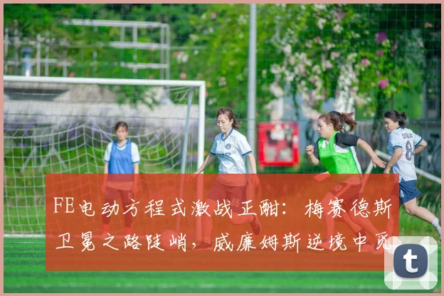 FE电动方程式激战正酣：梅赛德斯卫冕之路陡峭，威廉姆斯逆境中觅得生机